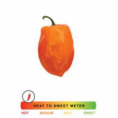 Pepper Habanero(mex Dominican)