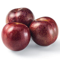 Red Plumcots