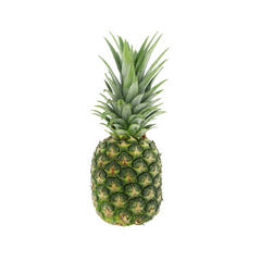 Small Pineapple