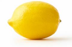 Lemons 4053(usa)
