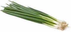 Fresh Green Onions, bunch