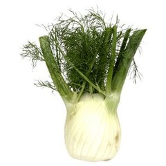 Fennel (Anise)