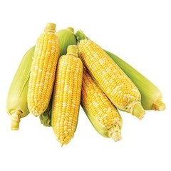 Bi-Color Corn, 1 each