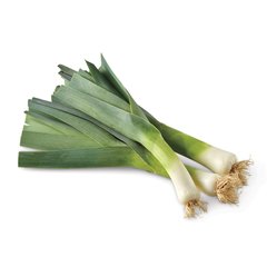 Regular Leeks