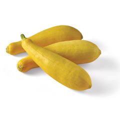 Yellow Squash