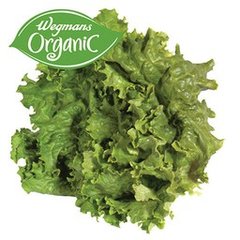 Organic Green Leaf Lettuce