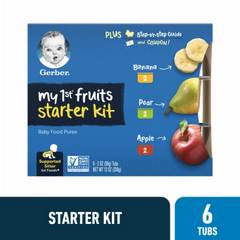 Gerber 1st Foods My 1st Fruits Starter Kit Banana Pear Apple Baby Food 6 Pack