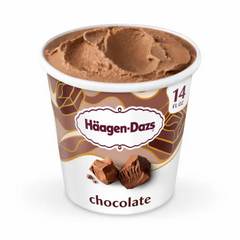 Haagen-Dazs Chocolate Ice Cream 14 Ounces
