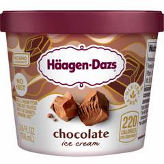 Haagen-Dazs Ice Cream Cup Chocolate - 3.6 Fl. Oz.