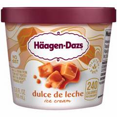Häagen-Dazs Dulce De Leche Ice Cream Cup