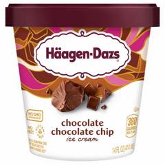 Haagen-Dazs Chocolate Chocolate Chip Ice Cream 14 Ounces