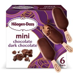 Häagen-Dazs Chocolate Dark Chocolate Mini Ice Cream Bars
