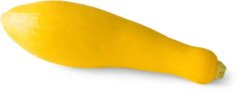 Yellow Crookneck Squash